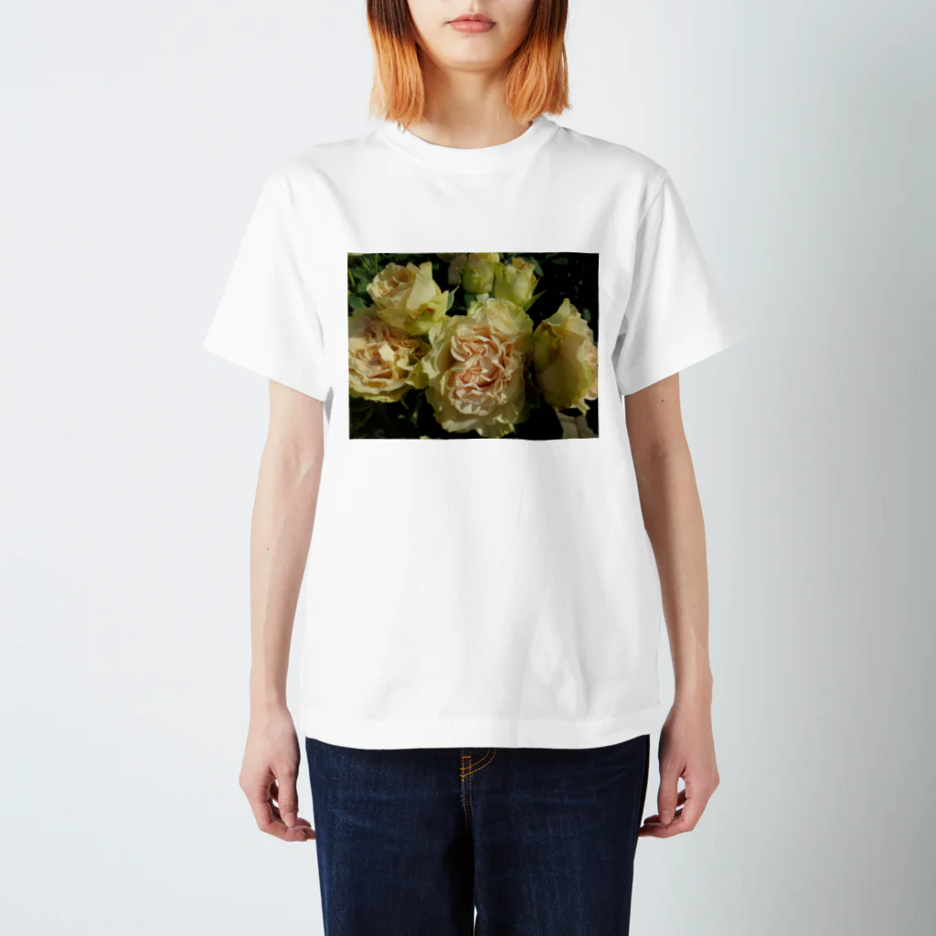 Dreamscape(LUNA)のみんな一緒ね!! Regular Fit T-Shirt