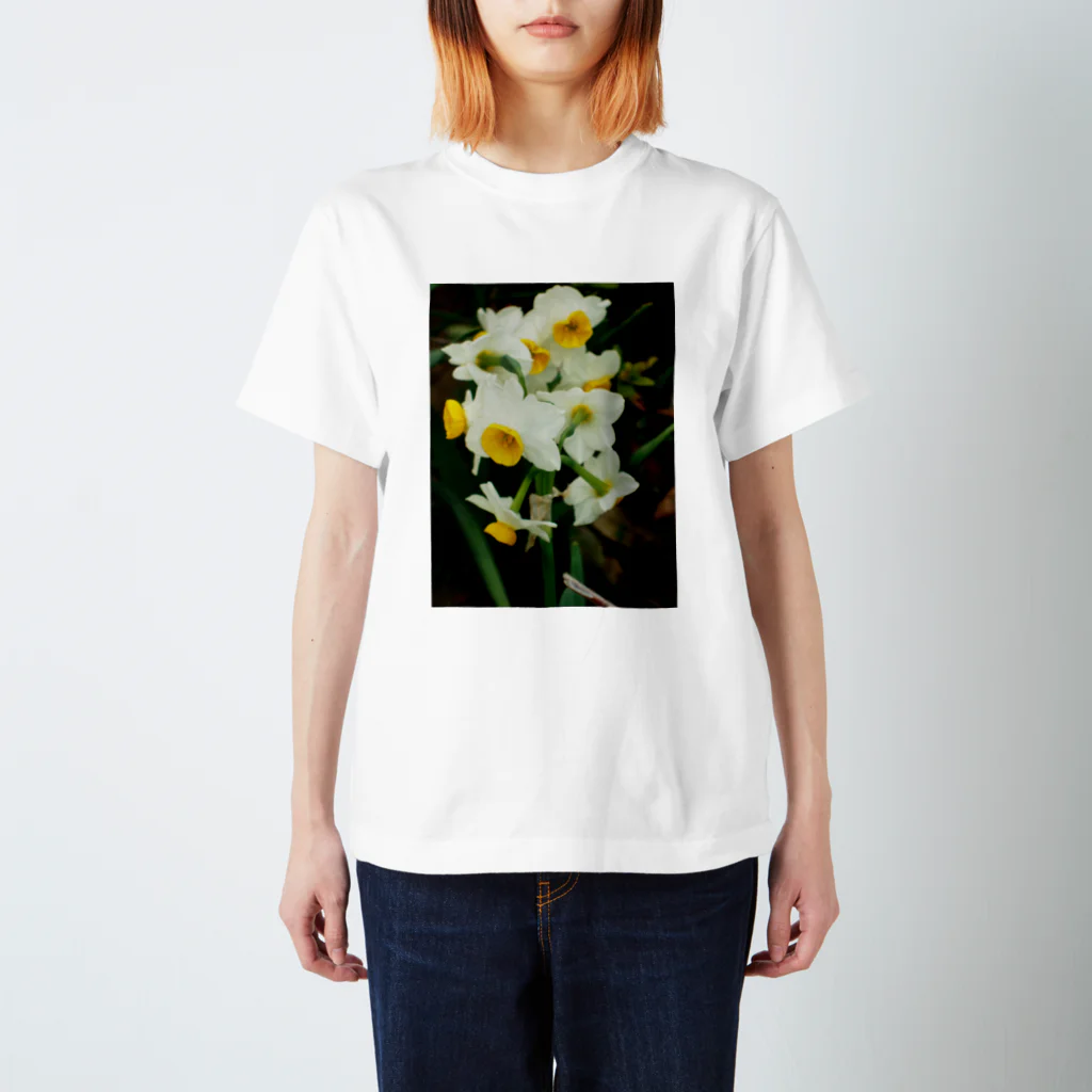 hiroki-naraの水仙　スイセン　DATA_P_100　春　spring スタンダードTシャツ