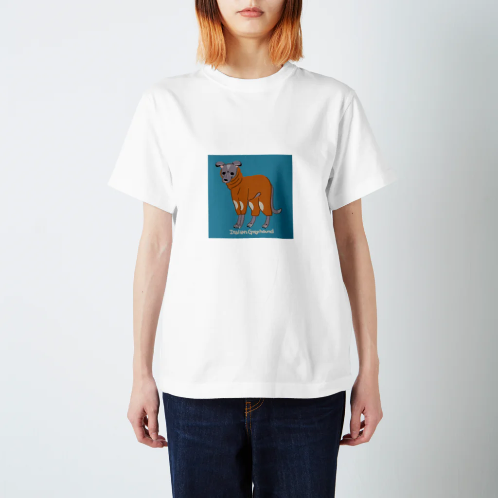 mmiyamotoの例の服のイタグレ Regular Fit T-Shirt