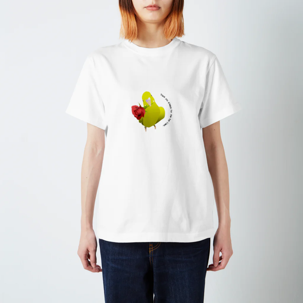 otogaのぴーちゃん皿 Regular Fit T-Shirt