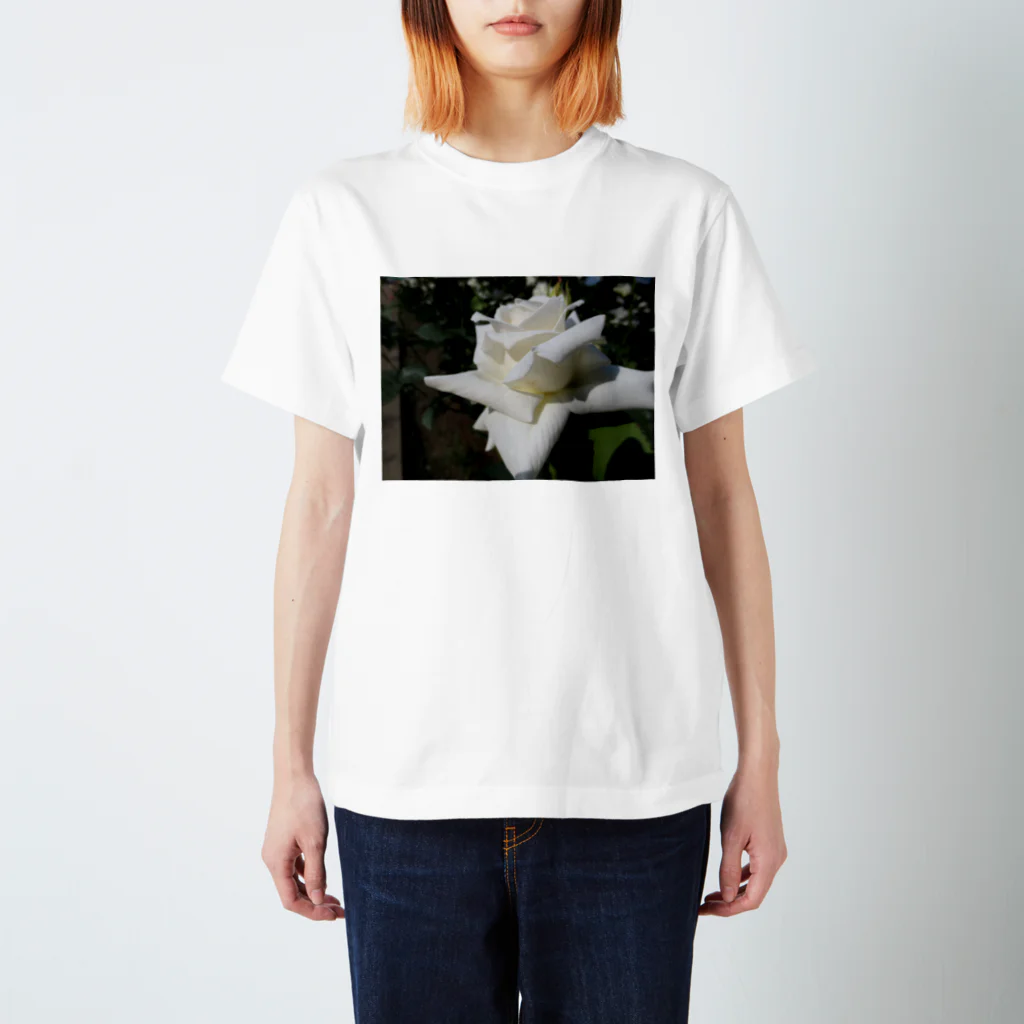 Dreamscape(LUNA)の純粋なる思い出 Regular Fit T-Shirt