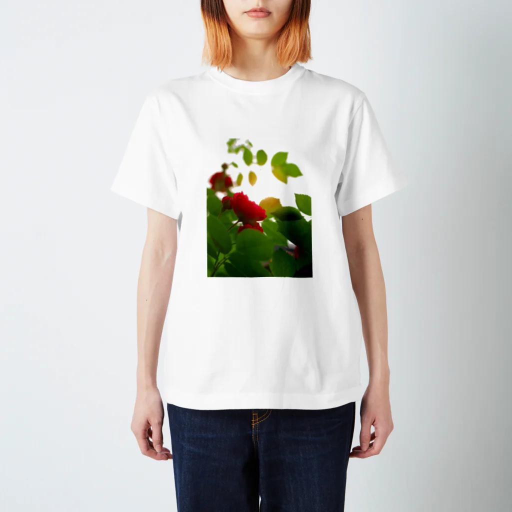 hiroki-naraのバラ　薔薇　rose DATA_P_117 スタンダードTシャツ