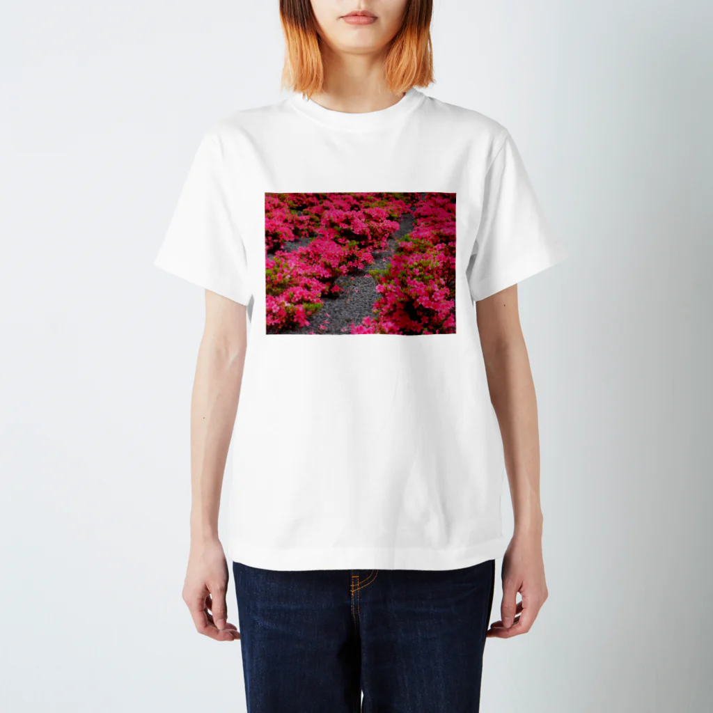 hiroki-naraのツツジ　azalea　DATA_P_118 スタンダードTシャツ