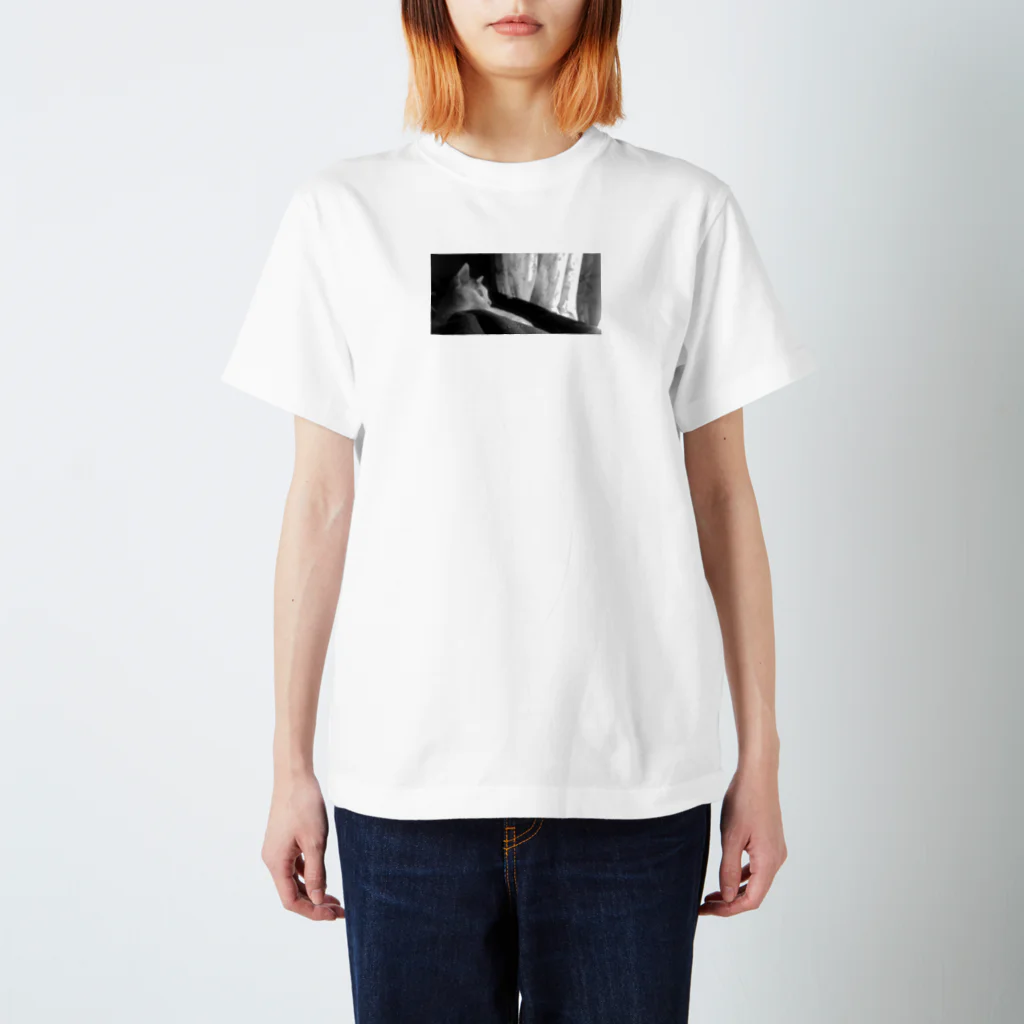 my dear catの鳥が気になる Regular Fit T-Shirt