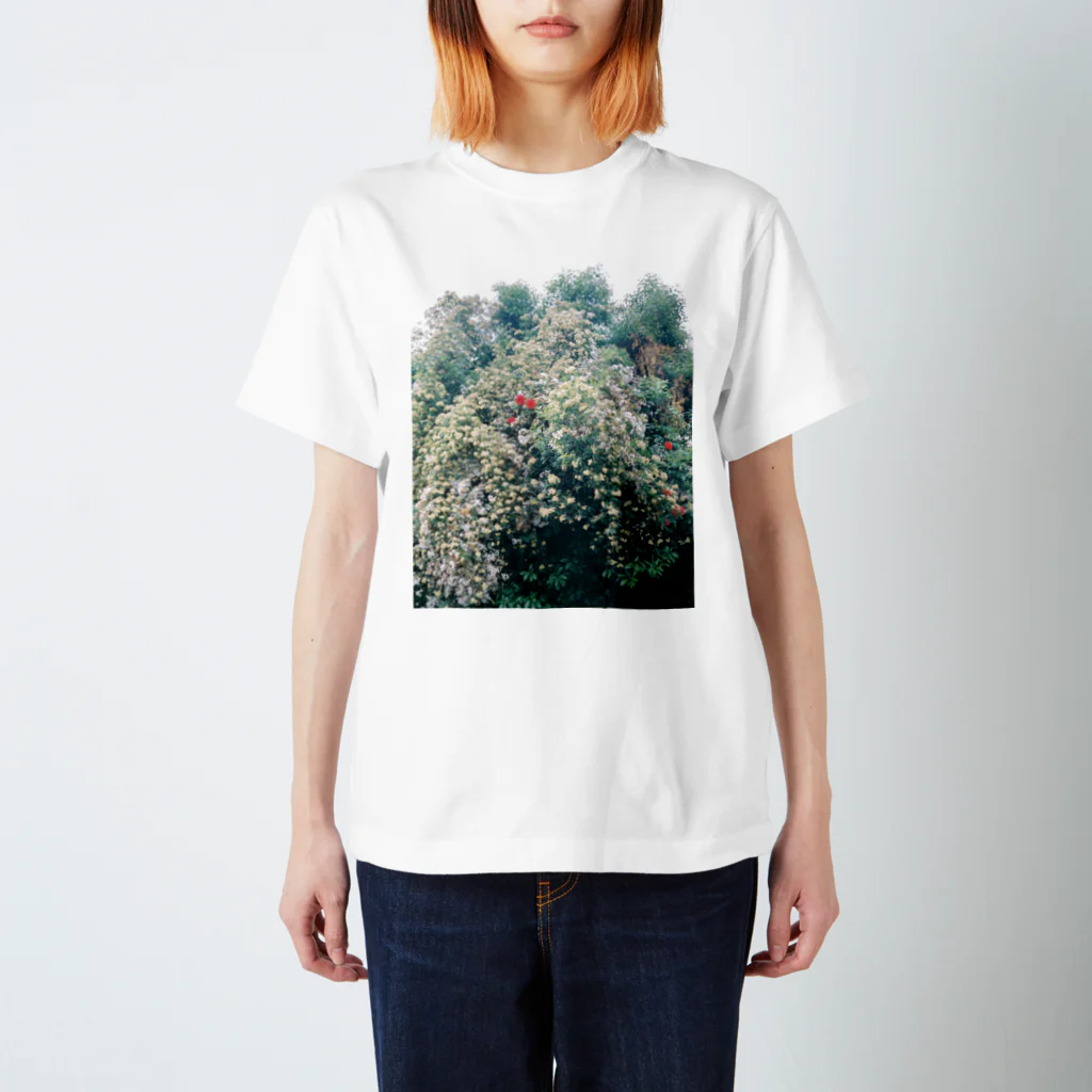 Kensuke Hosoyaの天国 Regular Fit T-Shirt