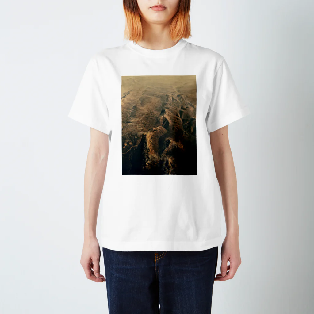 amayawinのfrom the window 10 スタンダードTシャツ