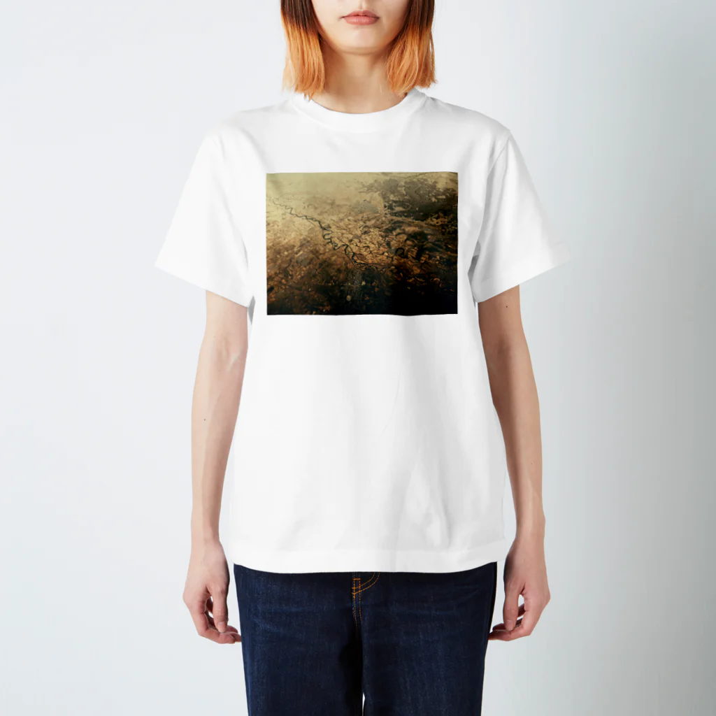 amayawinのfrom the window 16 スタンダードTシャツ