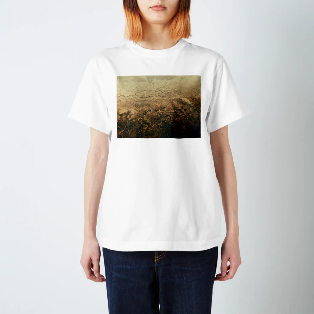 amayawinのfrom the window 20 スタンダードTシャツ