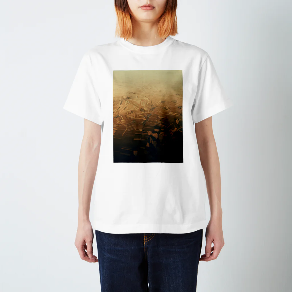 amayawinのfrom the window 29 スタンダードTシャツ