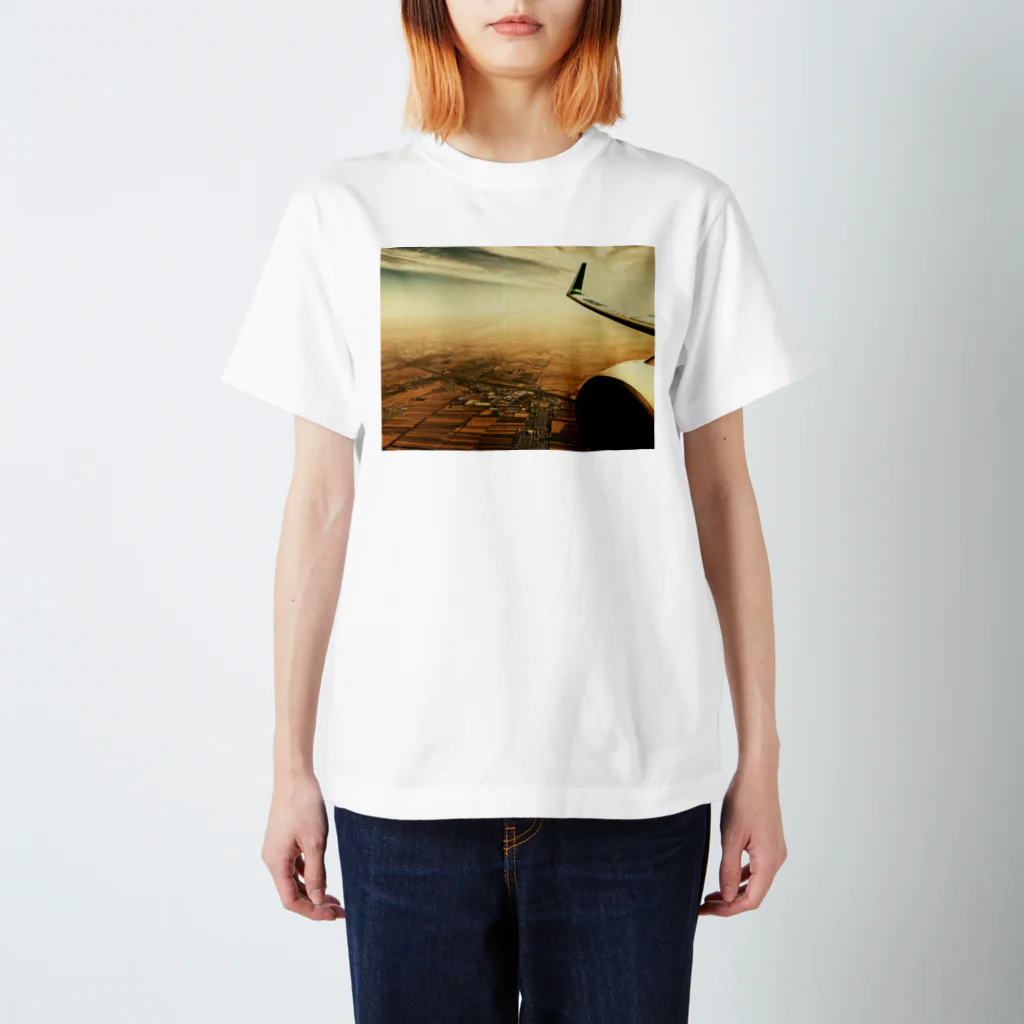 amayawinのfrom the window 37 Regular Fit T-Shirt