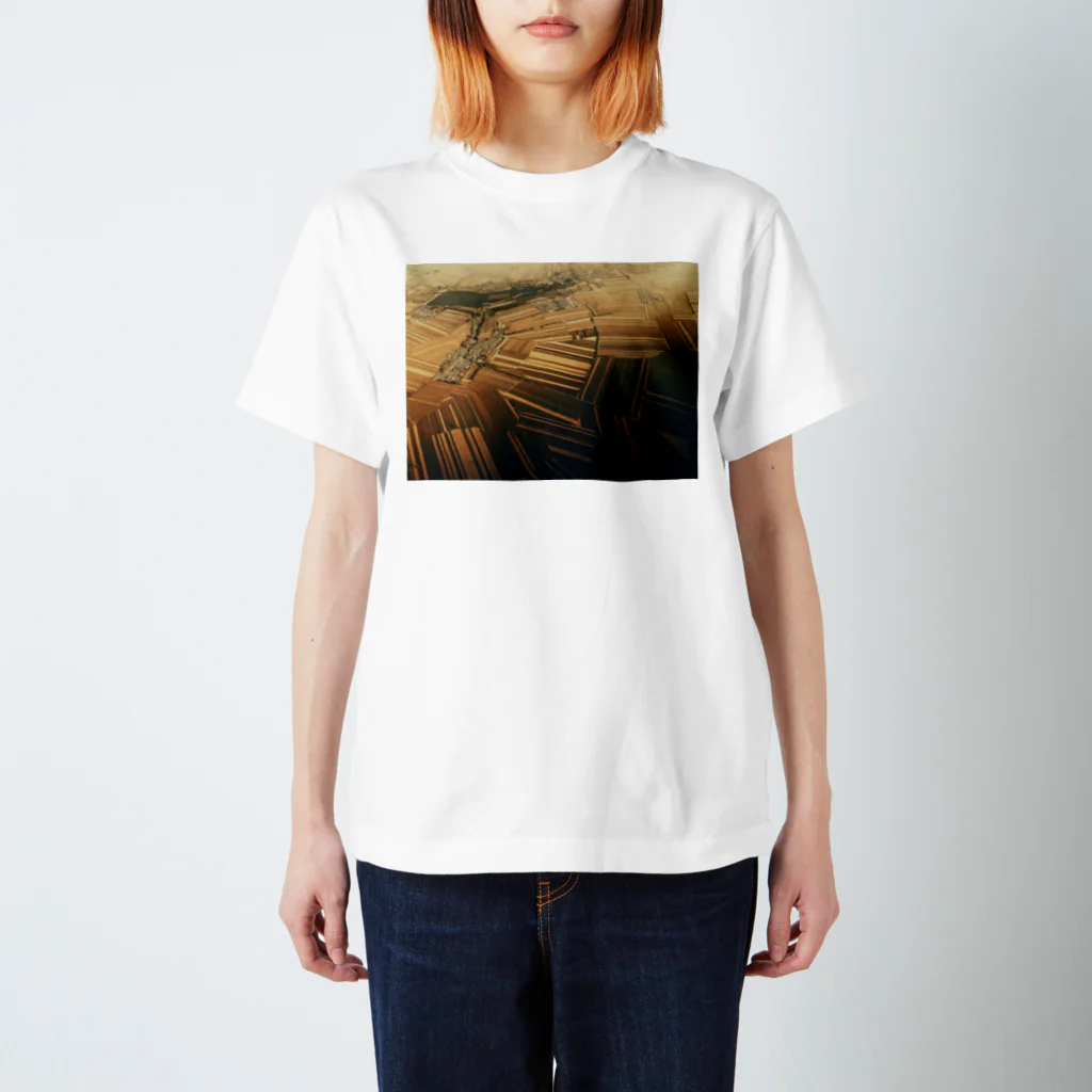 amayawinのfrom the window 39 スタンダードTシャツ