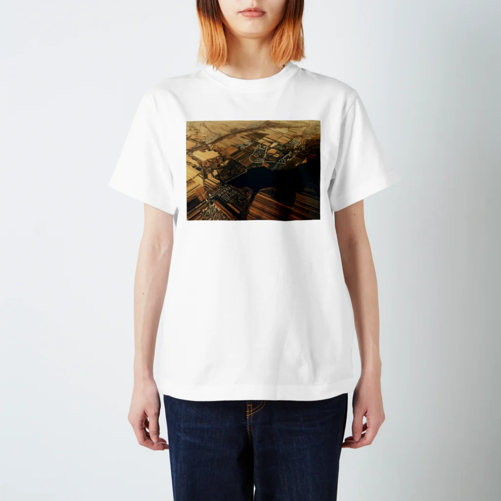 amayawinのfrom the window 40 Regular Fit T-Shirt