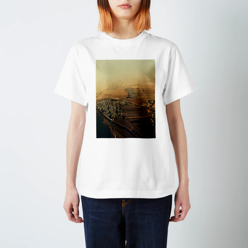 amayawinのfrom the window 47 Regular Fit T-Shirt