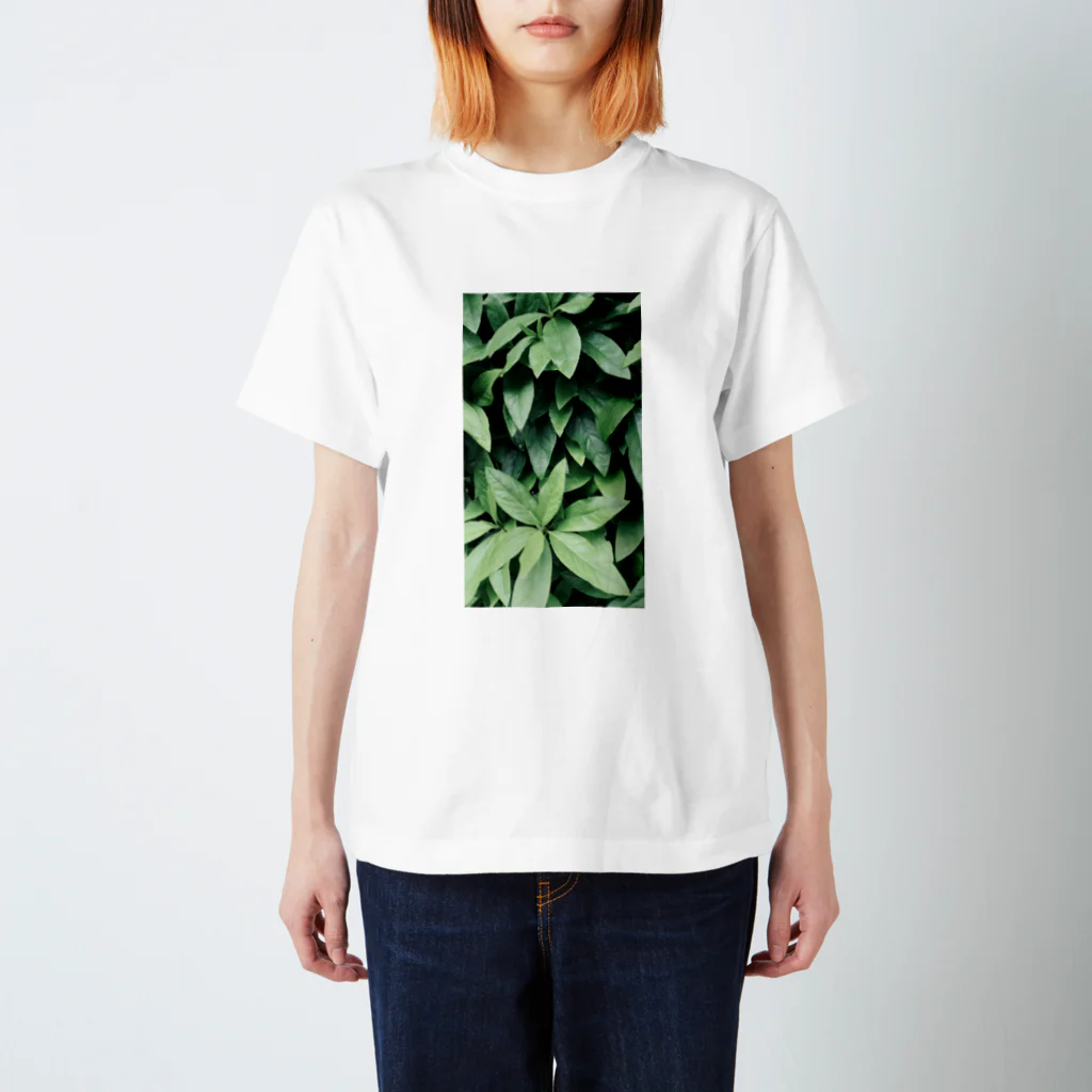 イエネコの植物　ツツジ Regular Fit T-Shirt