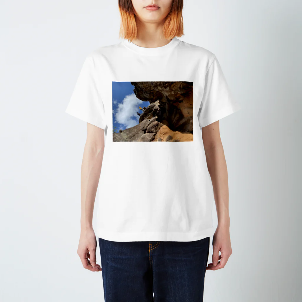 PAINTのMv スタンダードTシャツ