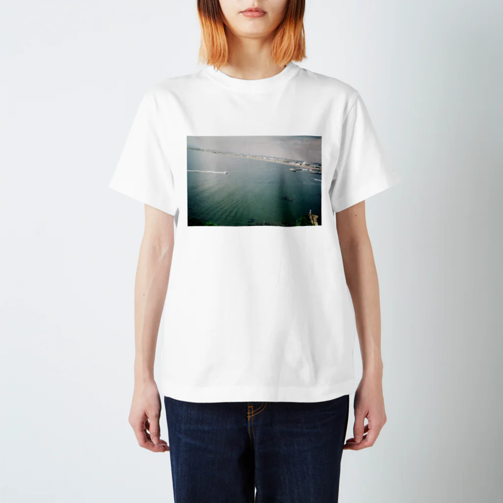 牛の宝箱の江ノ島 スタンダードTシャツ