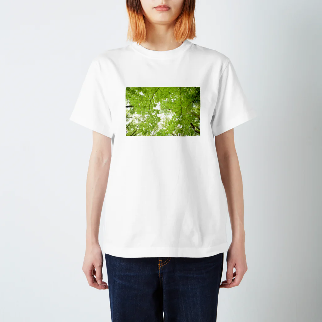 みさきの自然て素敵 Regular Fit T-Shirt