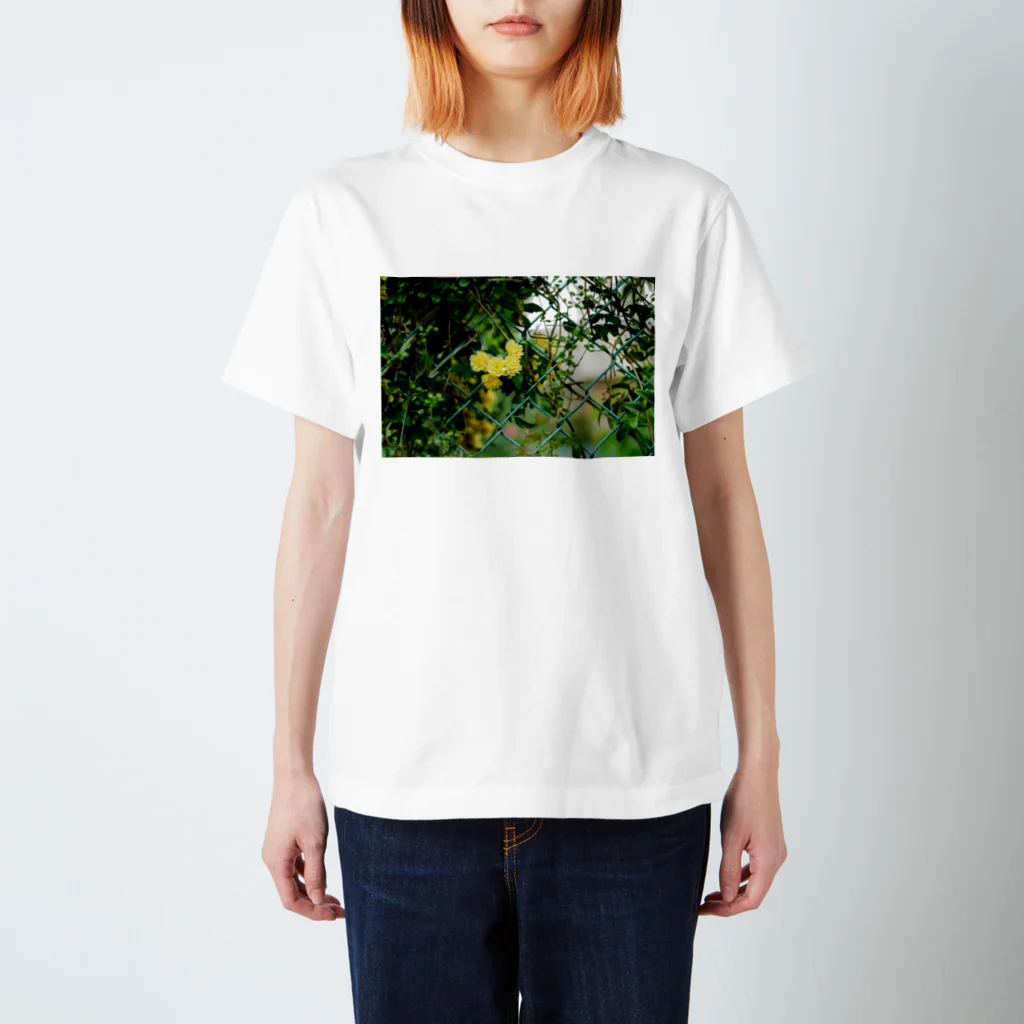 かぴばらのFLOWER-きいろ- スタンダードTシャツ