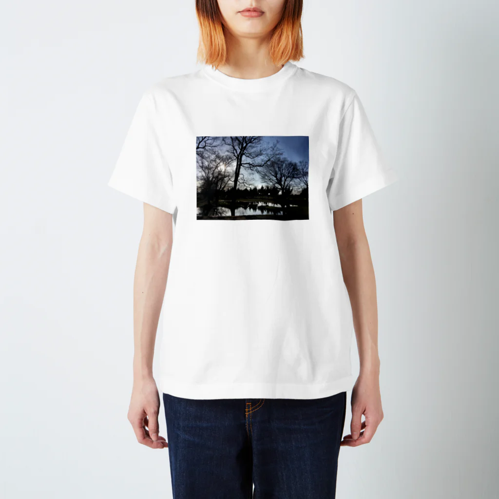 Too fool campers Shop!のAfter the rain02 スタンダードTシャツ