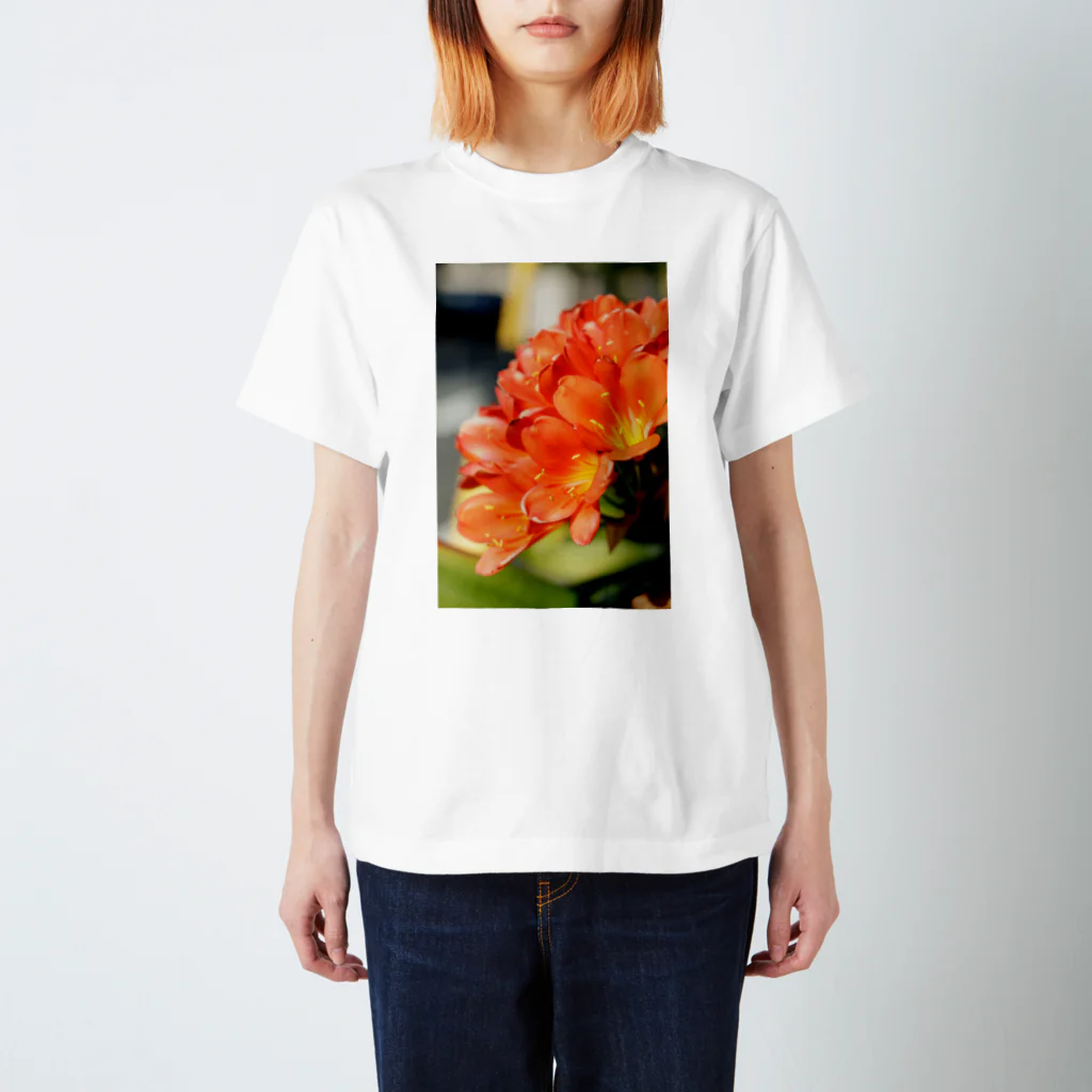 かぴばらのFLOWERS-だいだい- Regular Fit T-Shirt