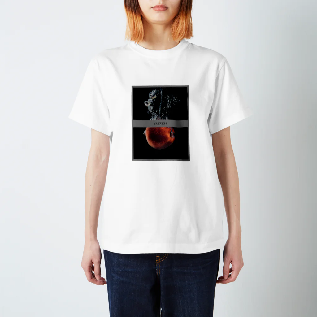 y_2のニュートンの林檎 Regular Fit T-Shirt