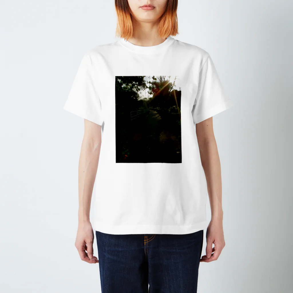 hiroki-naraの光景 sight　DATA_P_127　天照　アマテラス スタンダードTシャツ