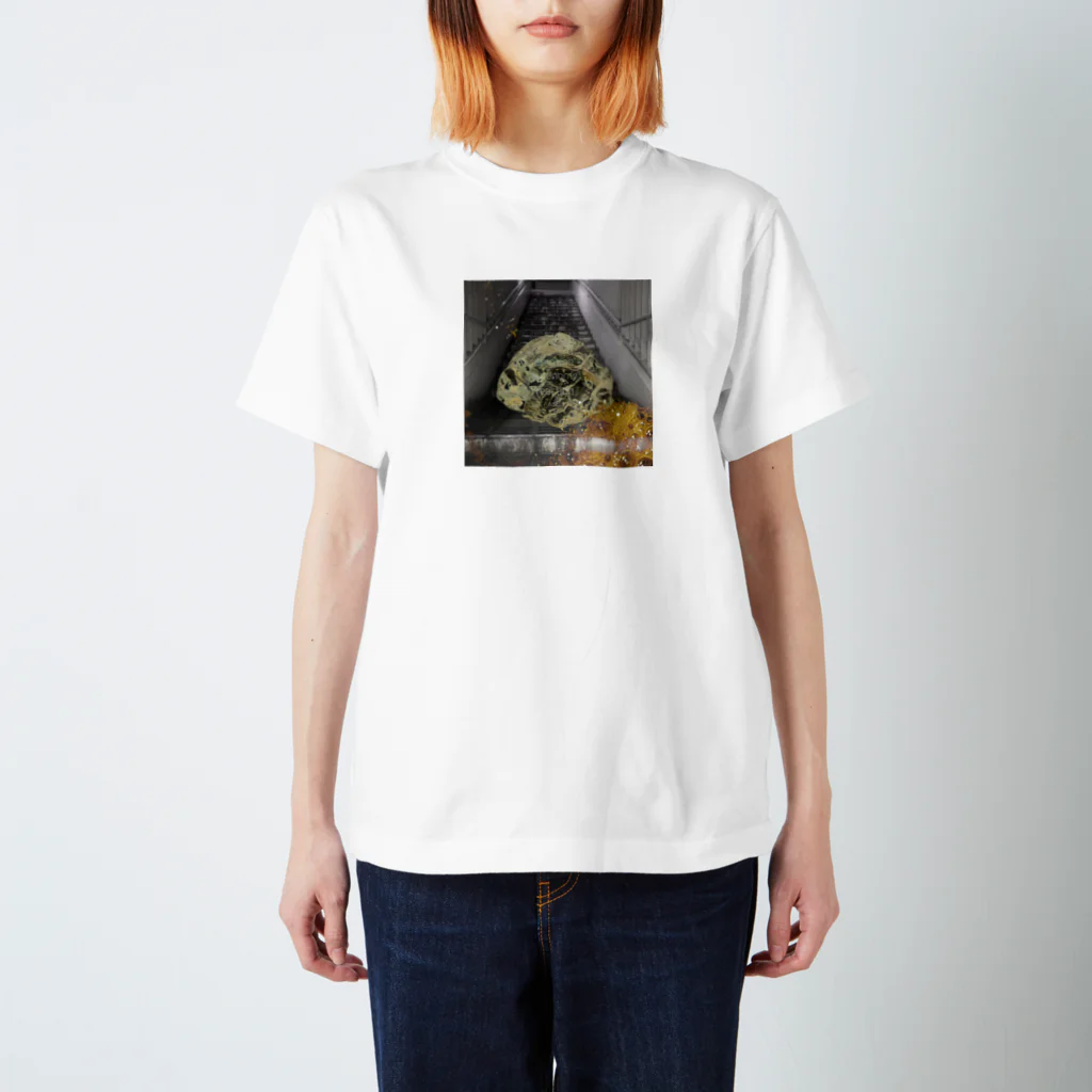 PANNのMUNE QNN (水色) Regular Fit T-Shirt