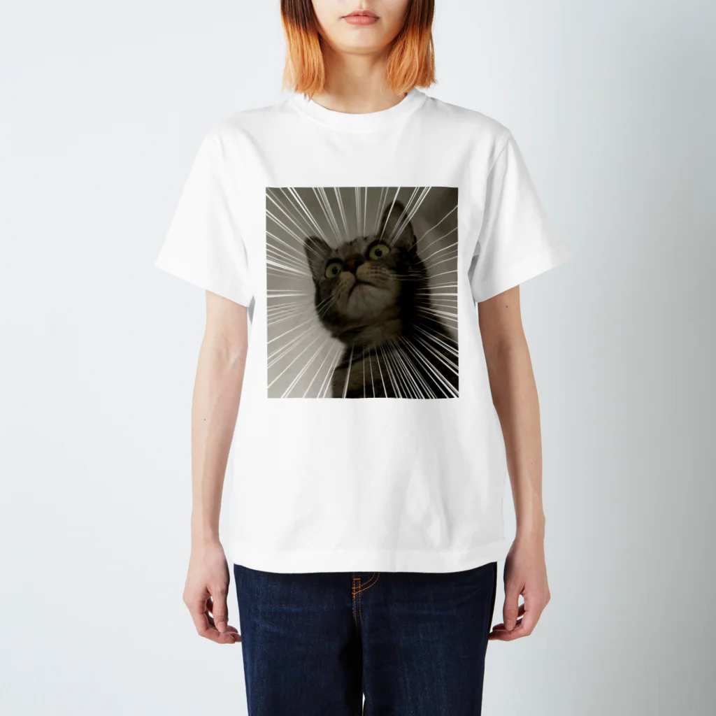 tanizakiizumi-goodsのうずらびっくり Regular Fit T-Shirt