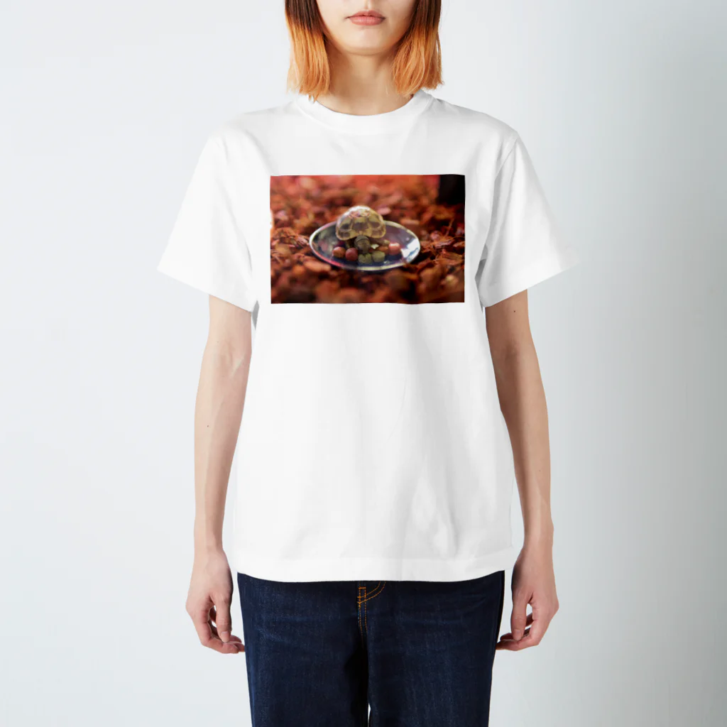 みのりの妹のカメ Regular Fit T-Shirt