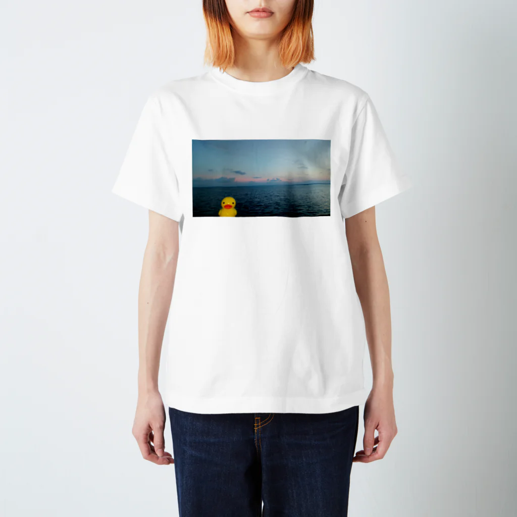 清水優輝（だんごちゃん）の金魚の旅行 スタンダードTシャツ