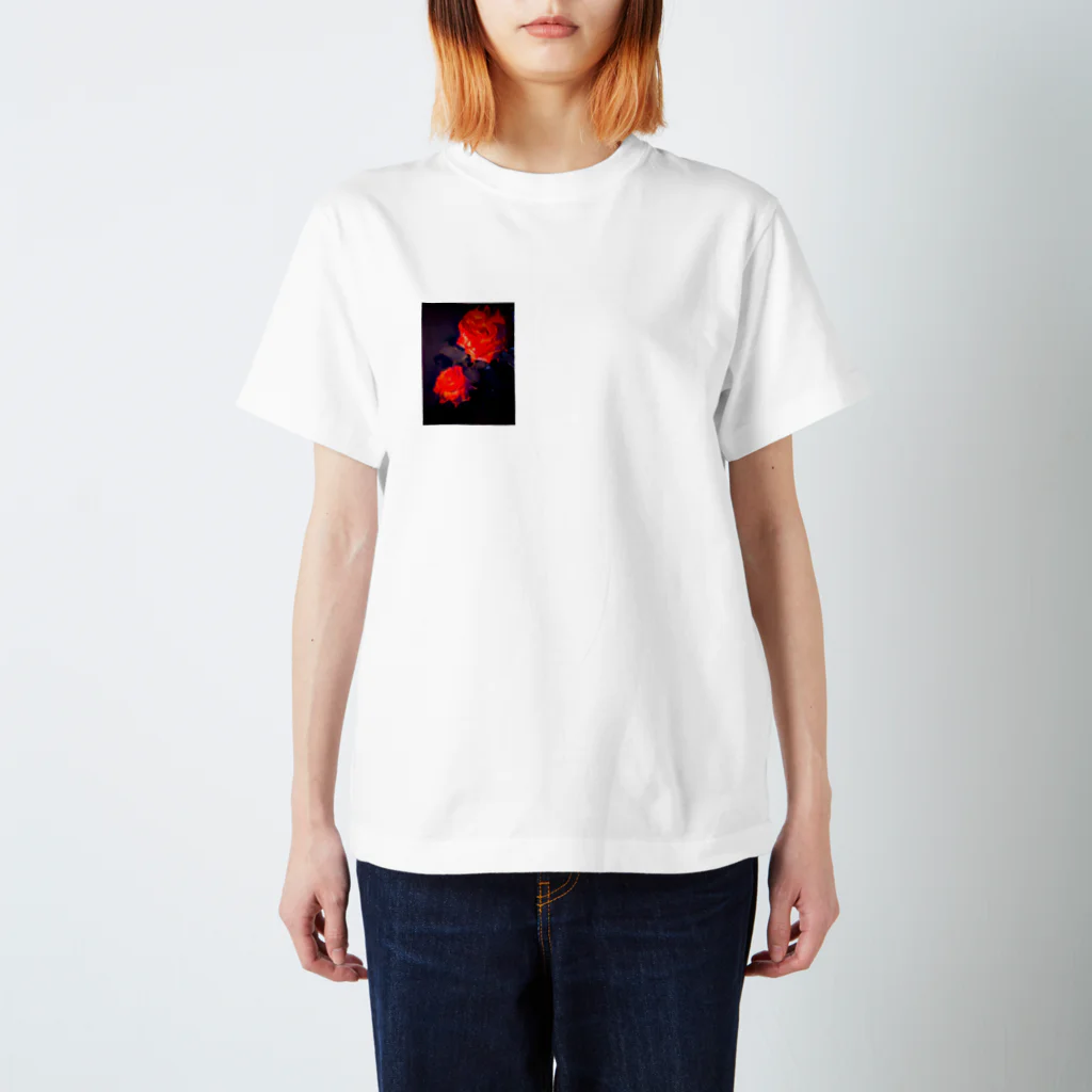 さんでーないとのろーずないと Regular Fit T-Shirt