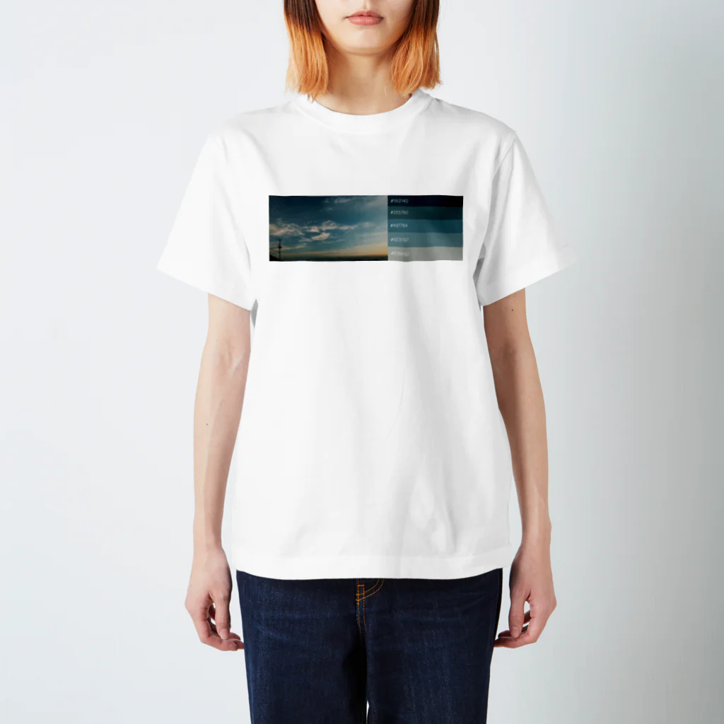 描く撮るの夕焼けカラーパレット1 スタンダードTシャツ