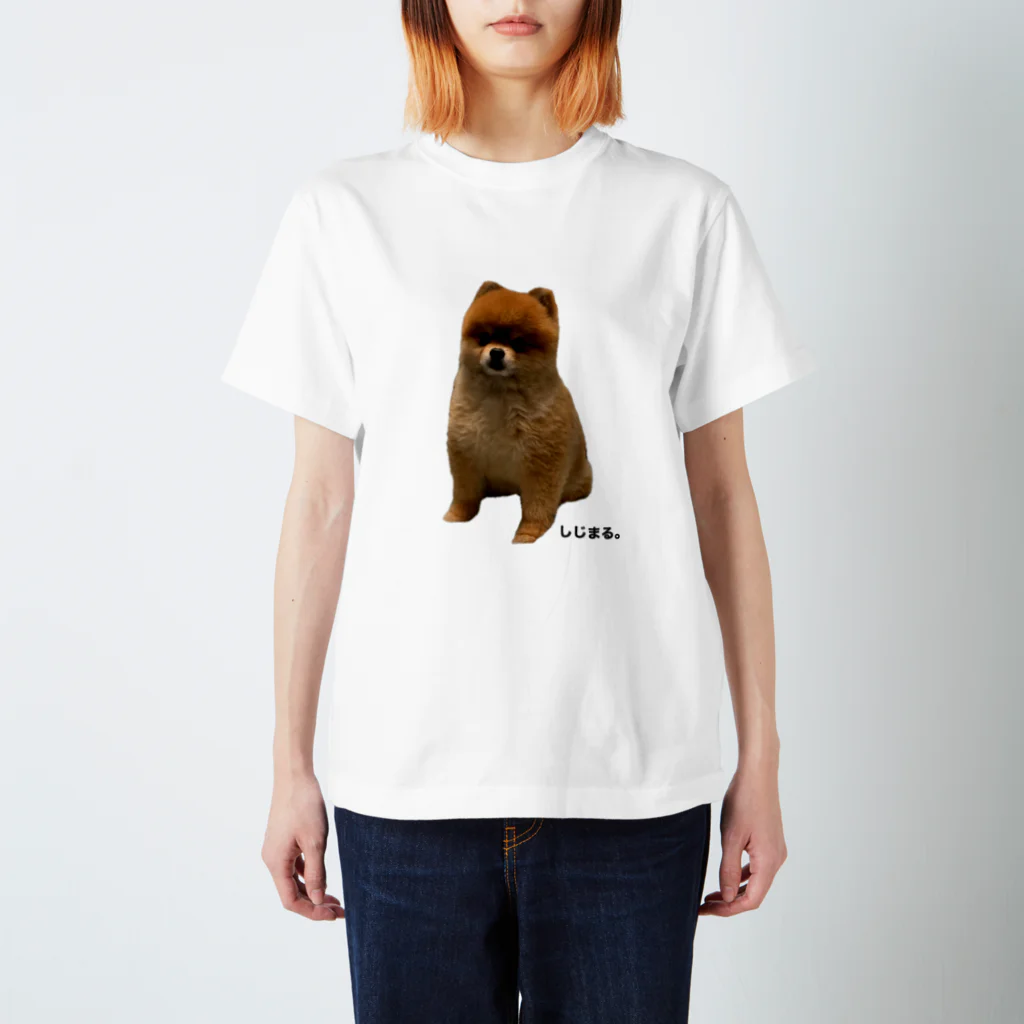 ぱんださん家のしーくんかわいいね Regular Fit T-Shirt