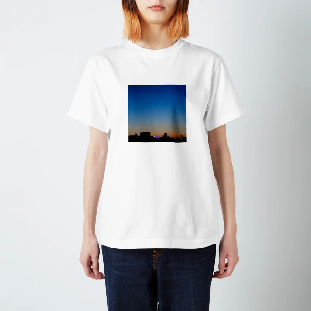 Ryuの気まぐれのKagoshima Sunset スタンダードTシャツ