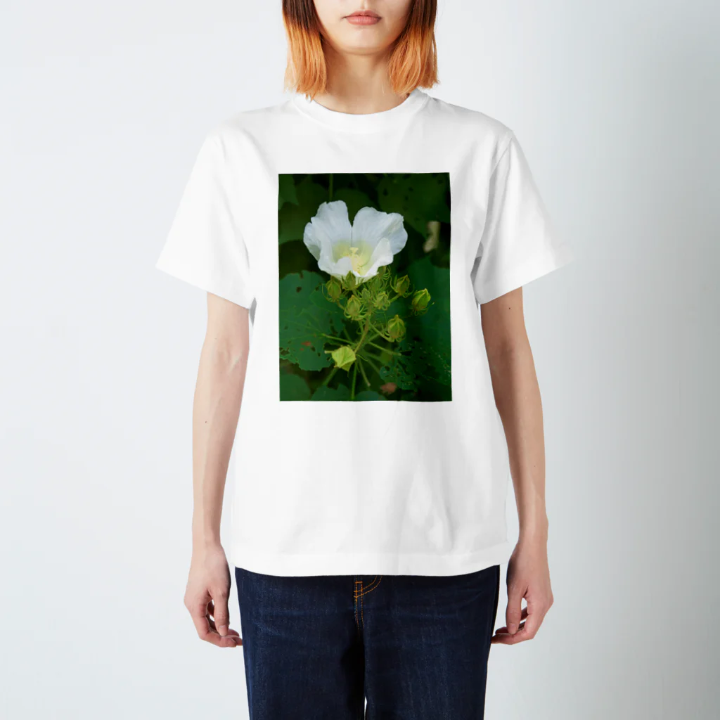 hiroki-naraの芙蓉 DATA_P_132　Confederate Rose ハスの花の古名 スタンダードTシャツ