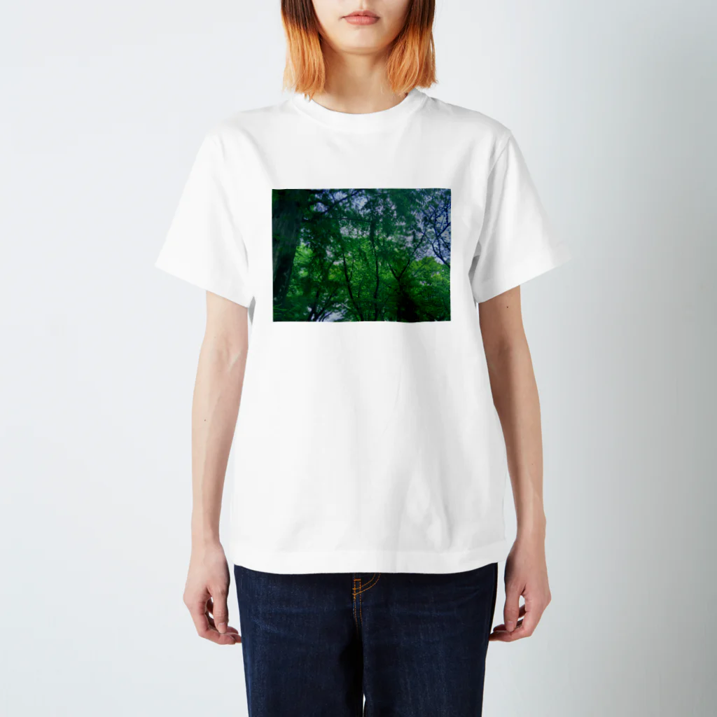 Too fool campers Shop!のSHINRYOKU02 Regular Fit T-Shirt