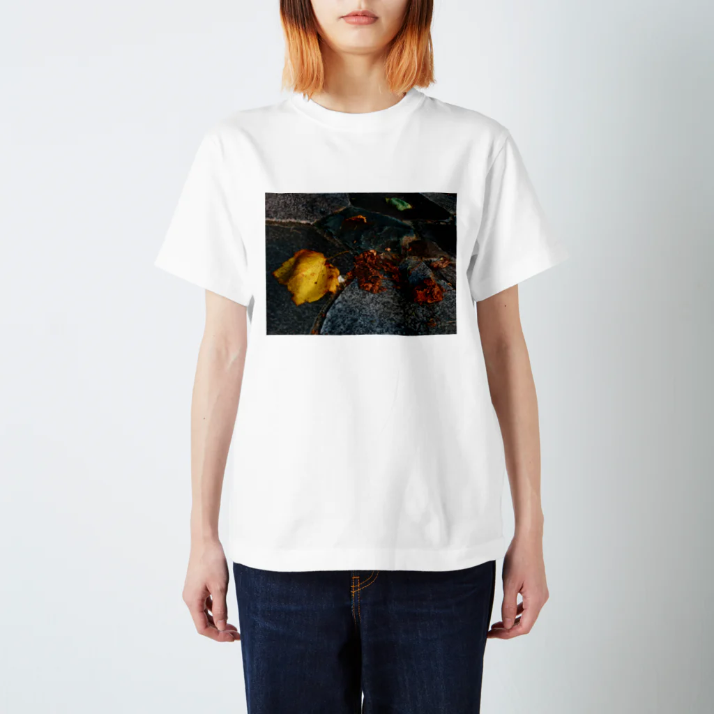 hiroki-naraの落ち葉　散る　DATA_P_137 スタンダードTシャツ