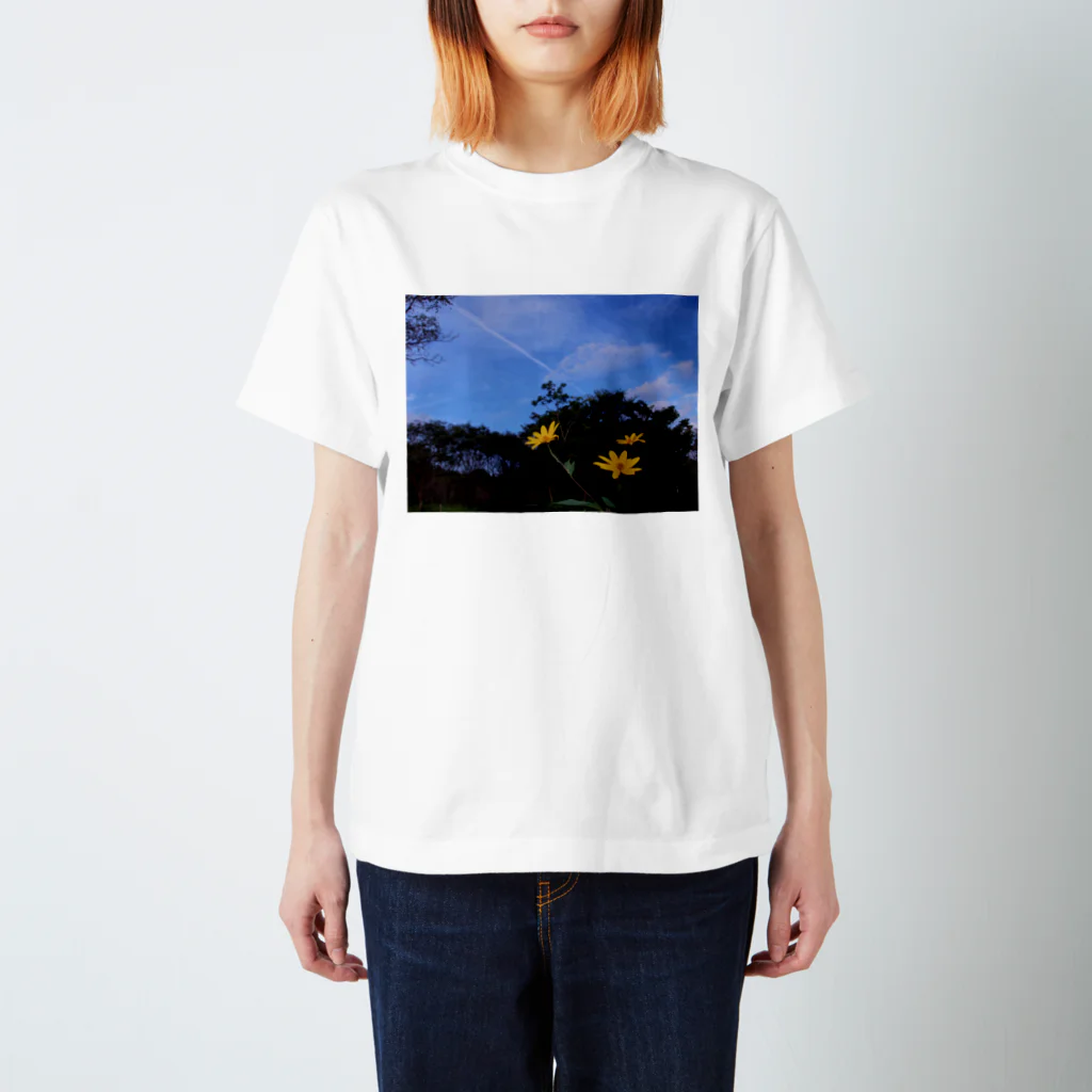 hiroki-naraの菊芋と樹木と空　DATA_P_140 tree　sky Regular Fit T-Shirt