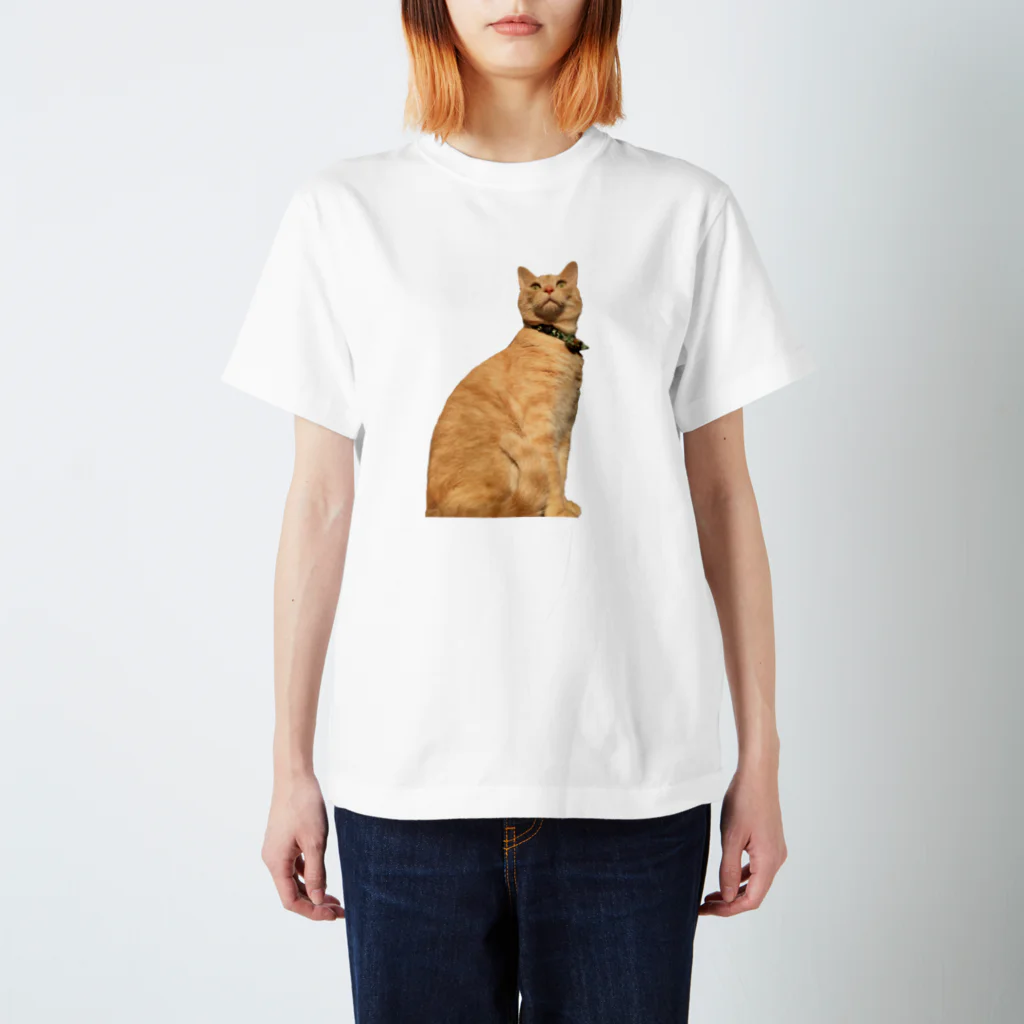 QQ_ooo_の神々しいネコ Regular Fit T-Shirt