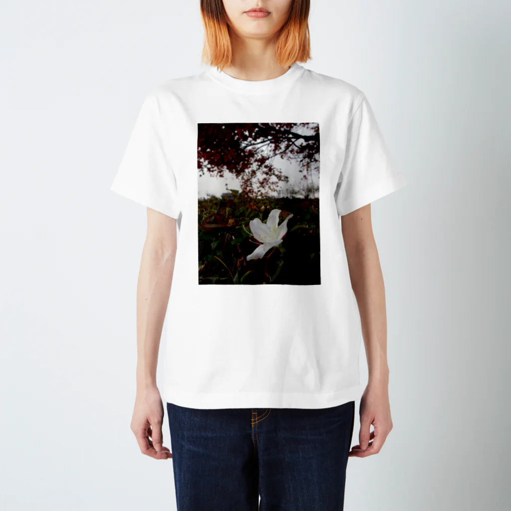 hiroki-naraの狂い咲くツツジ　DATA_P_144 スタンダードTシャツ