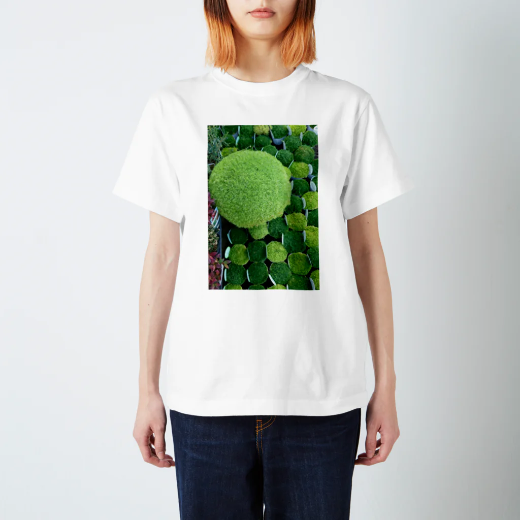 haretのmoss farm スタンダードTシャツ