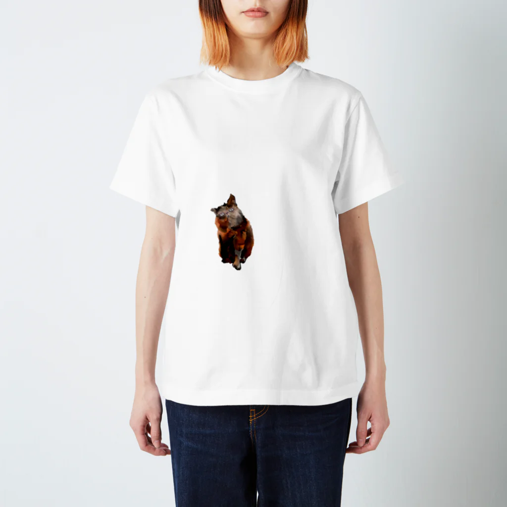 Takuya Funatoのエキゾチック　猫 スタンダードTシャツ