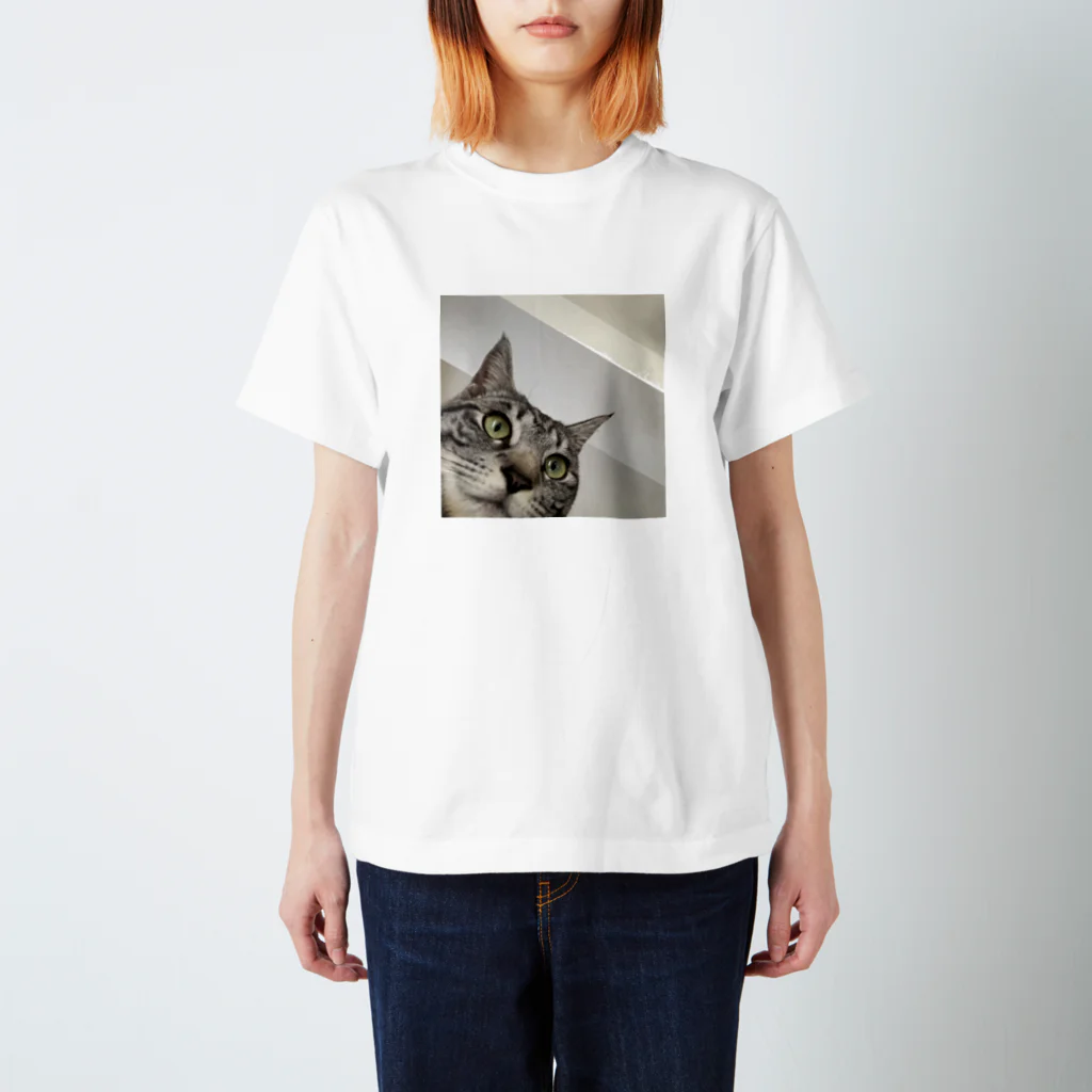 tubakiのneko tubaki スタンダードTシャツ