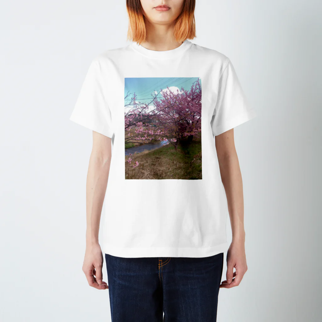 jurianoの四日市市桜地区の河津桜 スタンダードTシャツ