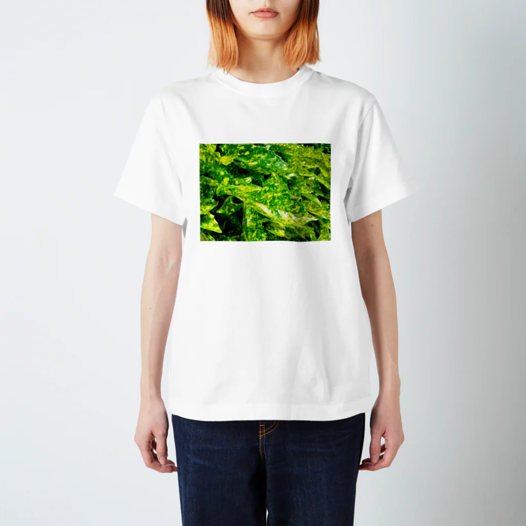 Too fool campers Shop!のAOKI01 Regular Fit T-Shirt