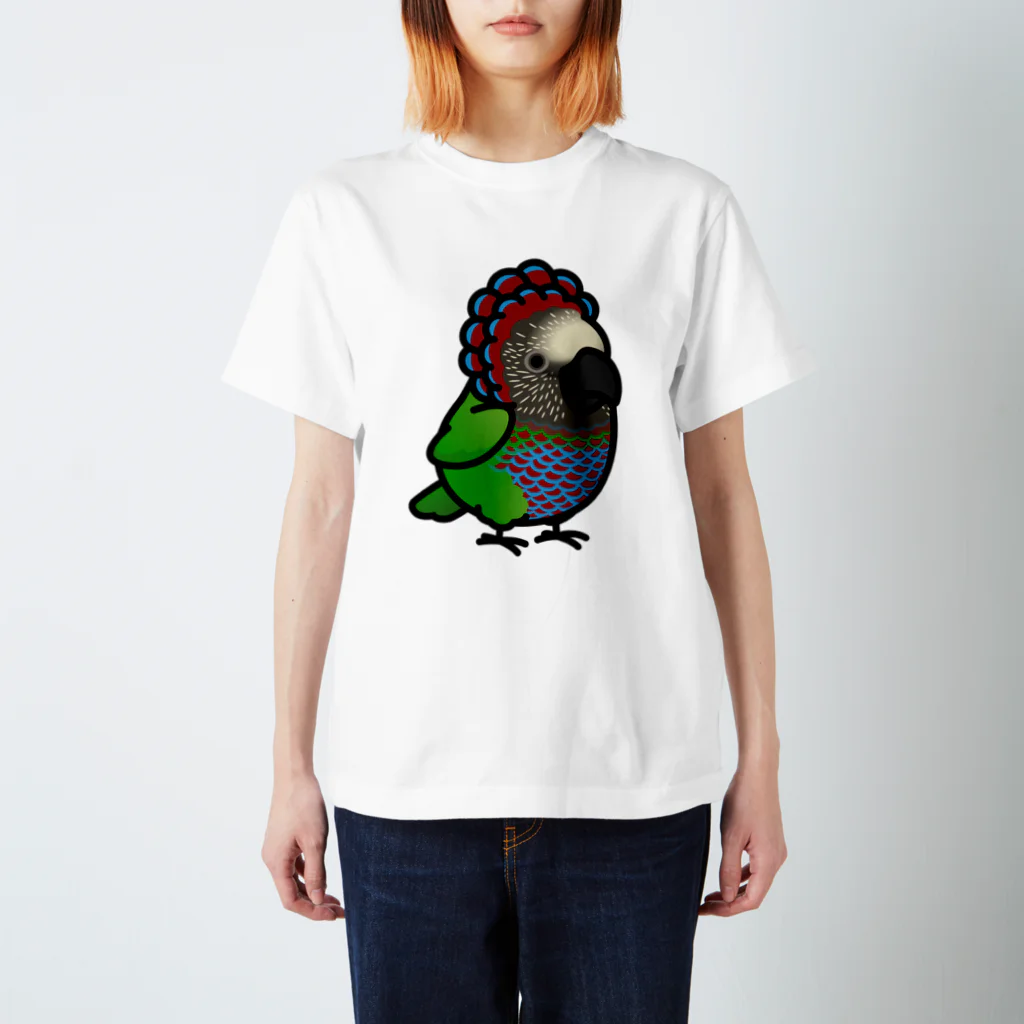 Cody the LovebirdのChubby Bird ヒオウギインコ スタンダードTシャツ