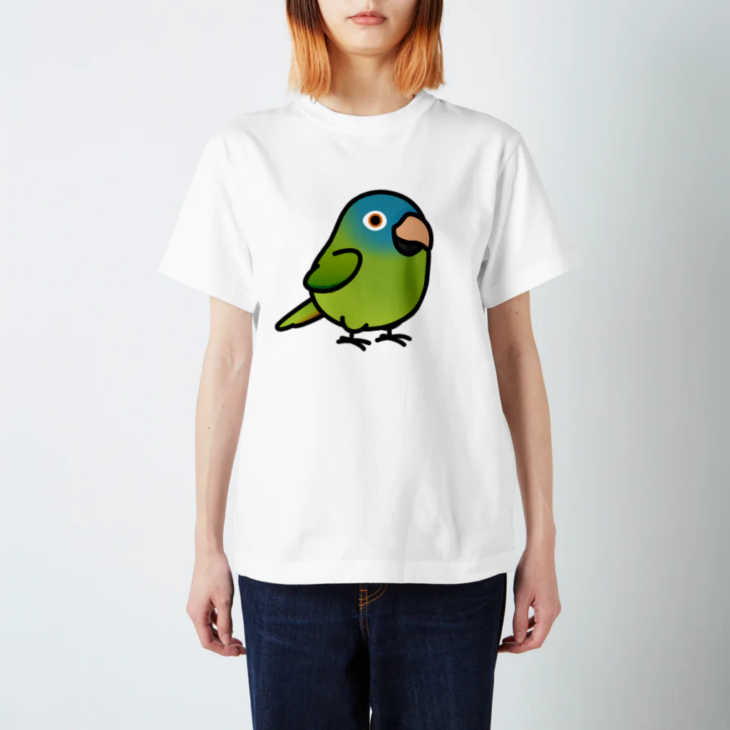 Cody the LovebirdのChubby Bird トガリオインコ Regular Fit T-Shirt