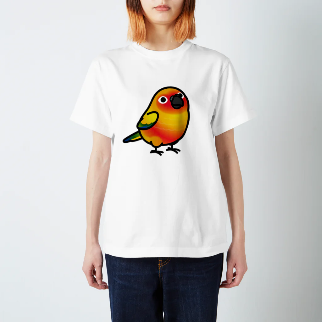 Cody the LovebirdのChubby Bird コガネメキシコインコ スタンダードTシャツ