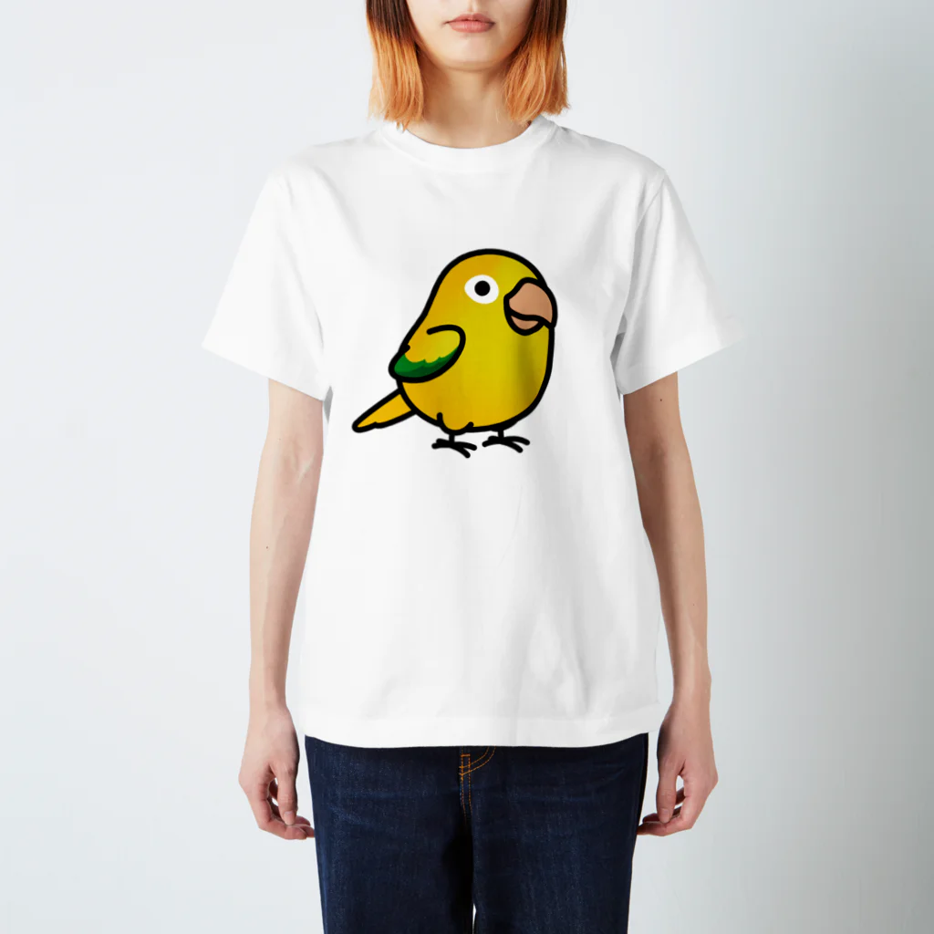 Cody the LovebirdのChubby Bird ニョオウインコ Regular Fit T-Shirt