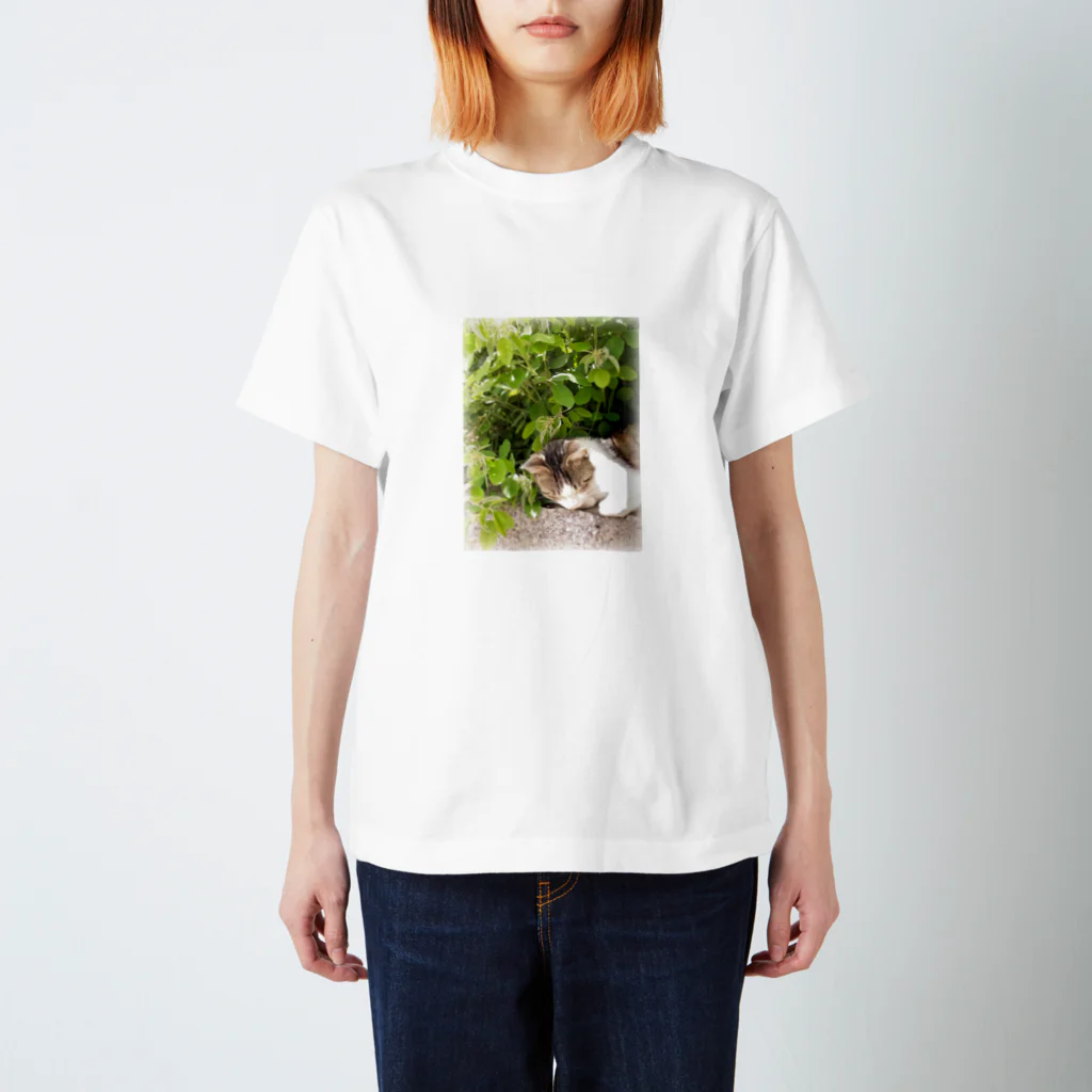 4m_4mののら猫２ Regular Fit T-Shirt